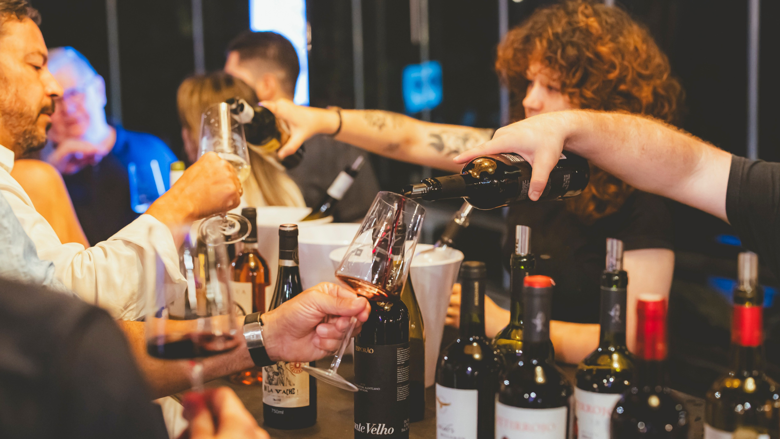 Confira dicas de vinhos para degustar no Itapema Wine Day - NSC